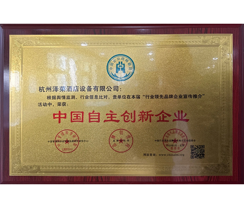 中國自主創(chuàng)新企業(yè)