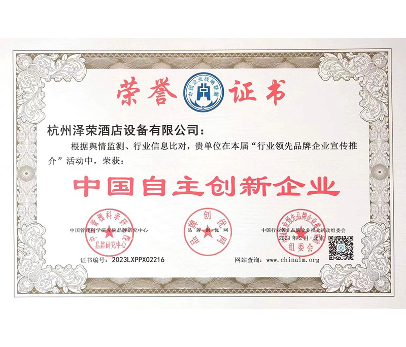 中國自主創(chuàng)新企業(yè)